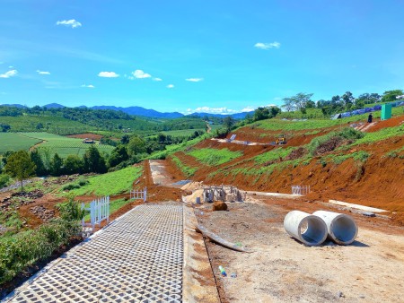 Đi đến slide 6