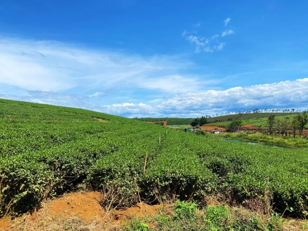 Đi đến slide 7
