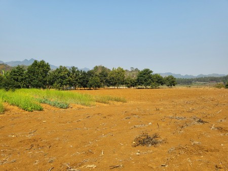 Đi đến slide 7