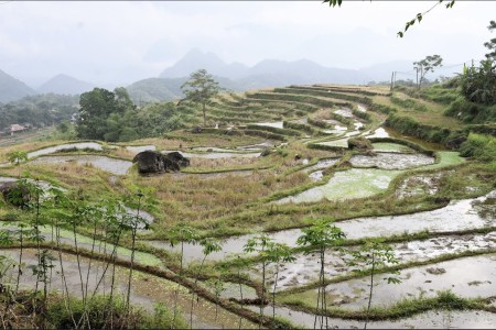 Đi đến slide 5