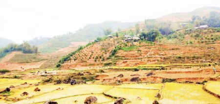 Gần 4000m2 full thổ cư tại Pù Luông, Bá Thước, Thanh Hóa. Siêu phẩm khan hiếm, độc nhất.