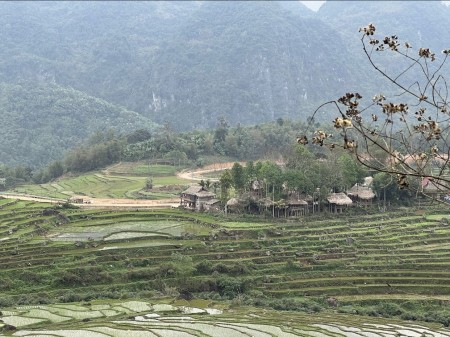 Đi đến slide 8