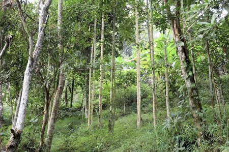 Đi đến slide 7