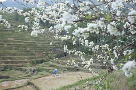 Đi đến slide 6