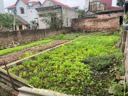 CC nhờ bán nhanh 100m2 đường ô tô 7 chỗ Đào Xuyên, Xã Đa Tốn, Gia Lâm, Hà Nội.