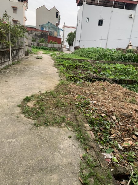 Chính chủ cần tiền bán gấp lô đất đẹp 60m2 thôn Bến Trung, xã Bắc Hồng, Đông Anh, Hà Nội