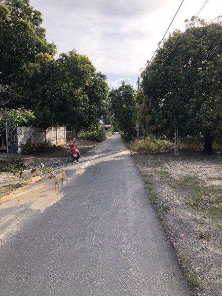 Đi đến slide 3