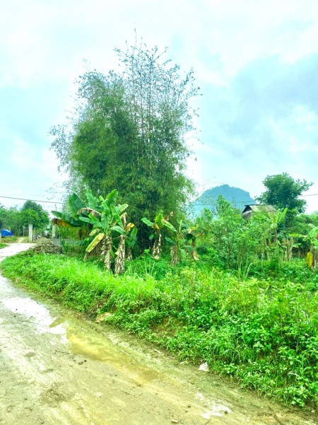 Đi đến slide 7