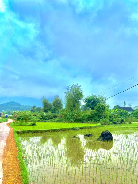 Đi đến slide 8