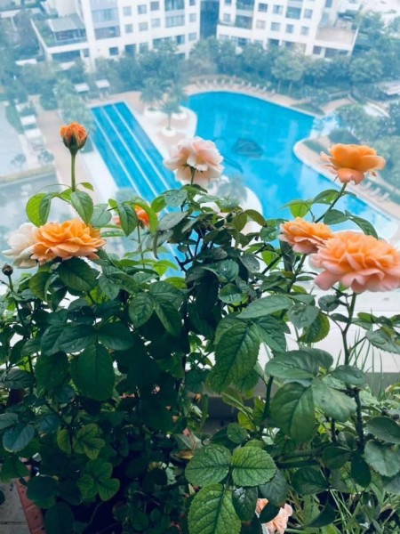 Đi đến slide 5