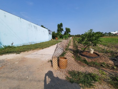 Diện tích sử dụng 90m2 đất thổ cư, sổ hồng riêng, Cần Giuộc - Long An giá 650 triệu