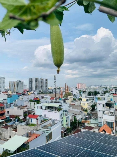 Đi đến slide 3