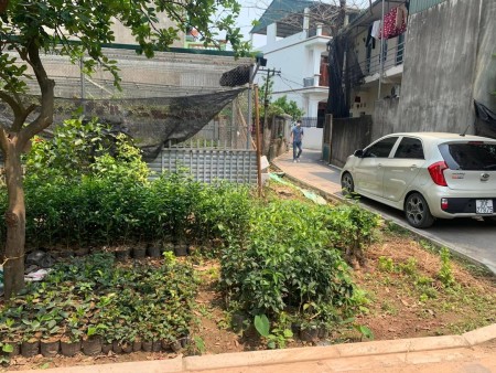 Bán đất tại An Lạc, thị trấn Trâu Quỳ, huyện Gia Lâm, Hà Nội giá bán 45 triệu/m2, sổ sẵn