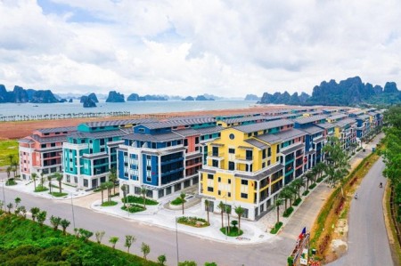 Đi đến slide 6