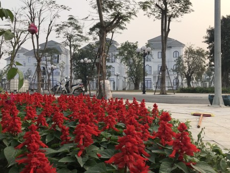 Đi đến slide 5