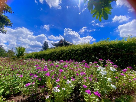 Sala Garden giá ưu đãi lên tới 3 cây vàng khi mua đất sinh phẩn, vị trí đắc địa, tiện ích đầy đủ
