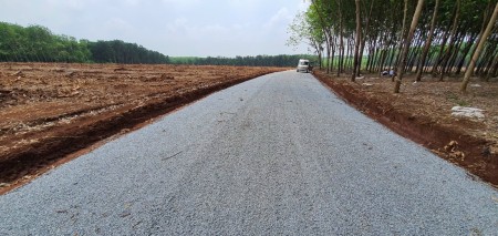 Kẹt tiền đáo hạn ngân hàng cần bán gấp lô đất diện tích 1000m2, giá tốt đầu tư vị trí đẹp