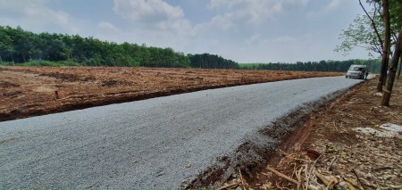 Đất giá rẻ mặt tiền 28 nối dài ra đường Bình Dương, Đồng Phú, hỗ trợ vay ngân hàng