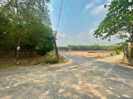 Đất nền 2 MẶT TIỀN đường Phước Bình Long Thành, ngân hàng hỗ trợ vay, giá tốt đầu tư sinh lời
