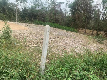 Đất đầu tư sau UBND Diên Lâm, phù hợp phân lô làm nhà vườn, liên hệ 0914155114 Bích