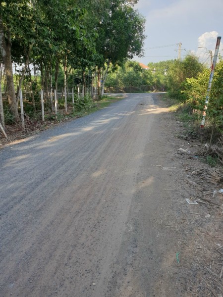 Bán kho xưởng tại xã Tân An Hội, huyện Củ Chi diện tích 1362 mét vuông lh 0988715847