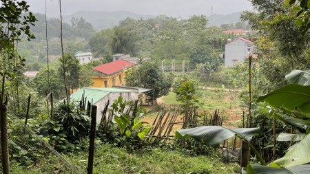Đi đến slide 12