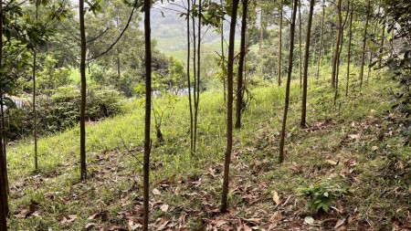 Đi đến slide 11