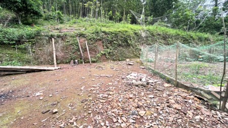 Đi đến slide 9