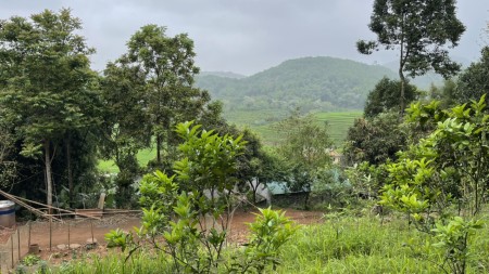 Đi đến slide 8