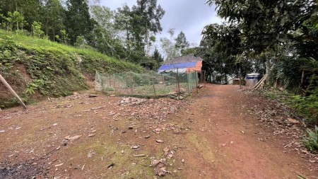 Đi đến slide 6