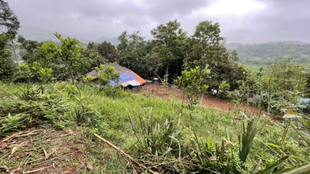 Lô đất view cánh đồng bậc thang tại Cao Phong giá f0 liên hệ 0989256789 giá đầu tư