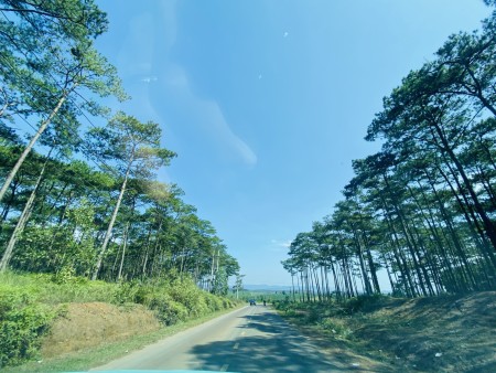Đi đến slide 3