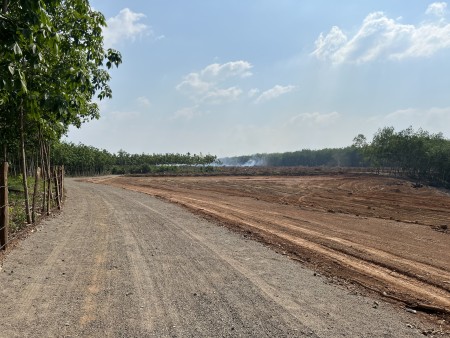 10 nền đất sổ hồng riêng giá F0, Vị trí cực đẹp, tiềm năng lớn, giá bán chỉ 550 triệu/nền