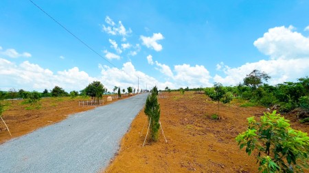 Đất nền có sẵn sổ gần dự án 30.000ha của tập đoàn Novaland, pháp lý chính chủ, giá tốt đầu tư