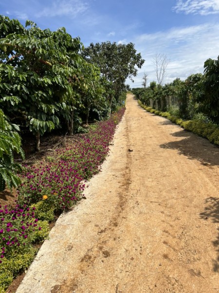 Đi đến slide 8