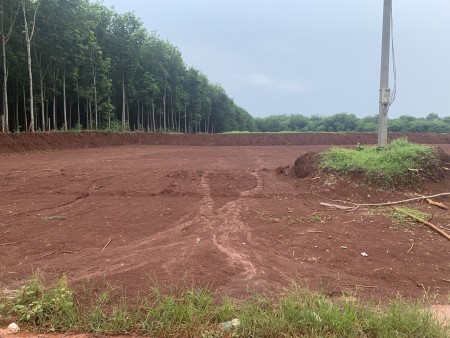 Đinh Thị Thiện Duyên