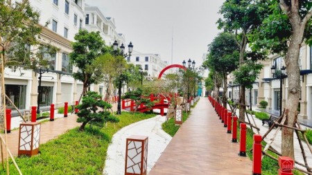 Bán shophouse thông 2 mặt, xây 5 tầng đối diện khu thiệt thự HA03 Vinhomes Ocean Park.