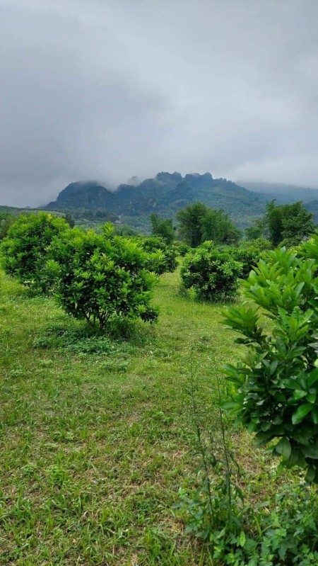 Đi đến slide 9
