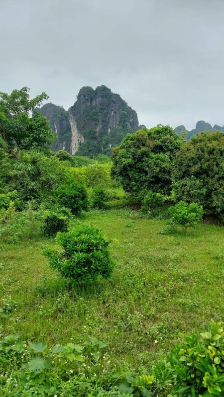 Đi đến slide 10