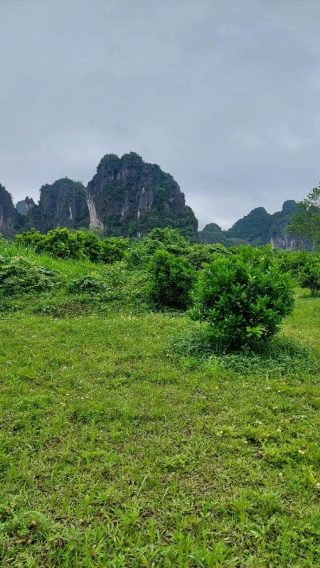 Đi đến slide 7