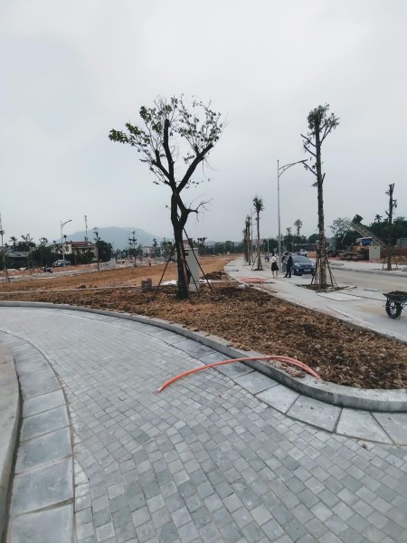 Ra chính sách bán hàng mới siêu ưu đãi cho khách hàng Downtown Lương Sơn