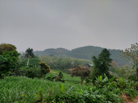 Đi đến slide 1