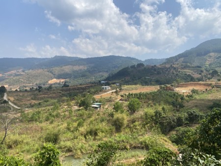 Đi đến slide 7