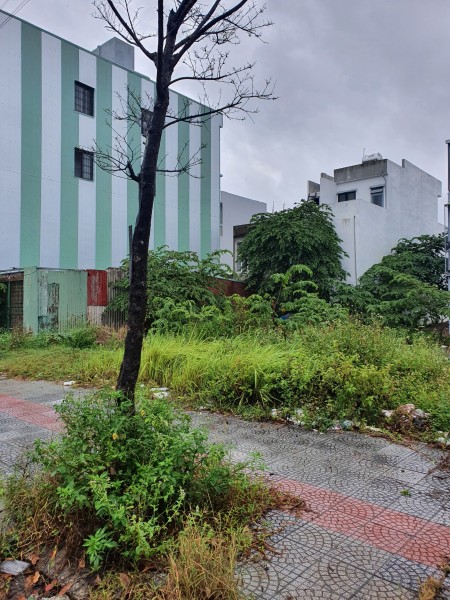 Bán đất Hòa Xuân, Cẩm Lệ, Đà Nẵng vị tí đắc địa, tiện đầu tư sinh lời