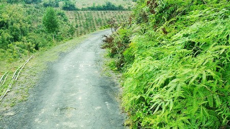 Đi đến slide 10
