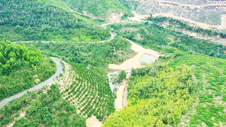 Đi đến slide 9