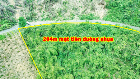 Đi đến slide 7