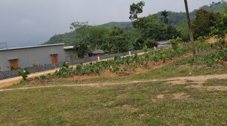 Đi đến slide 2