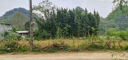 Đi đến slide 7