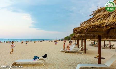 Đi đến slide 5